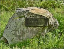 5 Teilbereich Paradies im NSG